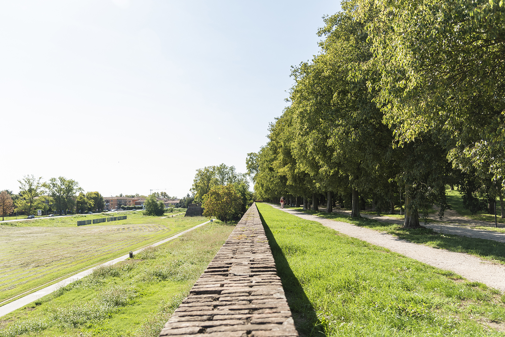 d mura giovecca 2